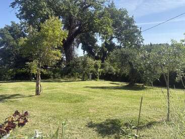 Un jardín soleado con césped bien cuidado, árboles jóvenes y maduros dispersos, rodeado de un exuberante follaje verde, bajo un cielo azul despejado en un día tranquilo.