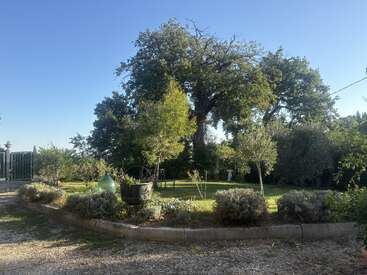 Un apacible jardín con exuberante césped verde, varios árboles y arbustos. La luz del sol se filtra entre los grandes árboles. Objetos decorativos y un camino de grava realzan la serenidad del entorno.