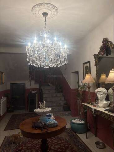 Una gran entrada cuenta con una brillante lámpara de cristal, decoración clásica, espejos ornamentados, mesas con objetos de arte, escaleras, alfombras vintage, plantas, lámparas y un perro pequeño.