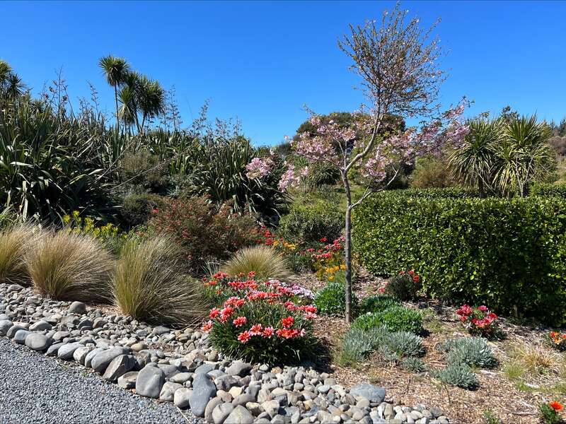 Help restore a property with native grasses in Waitarere Beach, NZ