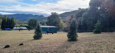 A peaceful rural scene with mountains, trees, and open grass. A person pushes a wheelbarrow near a shed, while a horse grazes in the background.