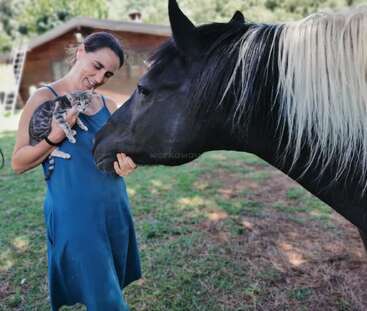 A smiling woman in a blue dress holds a gray kitten while a black horse with a white mane nuzzles them gently in a sunny yard.