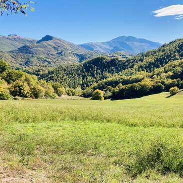 Um prado verdejante e tranquilo se estende em direção a colinas onduladas e montanhas arborizadas sob um céu azul claro, criando uma paisagem natural serena e pitoresca, perfeita para relaxar.