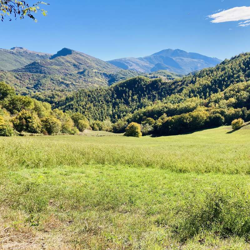 Una tranquila pradera verde se extiende hacia colinas onduladas y montañas boscosas bajo un cielo azul claro, creando un paisaje natural sereno y pintoresco, perfecto para relajarse.