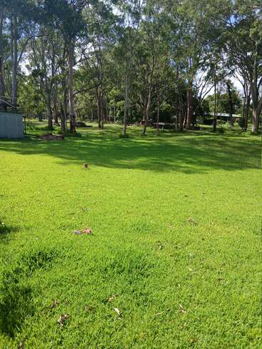 A lush, green grassy field stretches out, bordered by tall trees. Sunlight filters through the leaves, casting dappled shadows. A shed sits on the left.