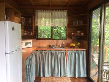 The image depicts a compact kitchen with wooden cabinets, a white refrigerator, and a sink, featuring a window with a view of lush greenery outside.