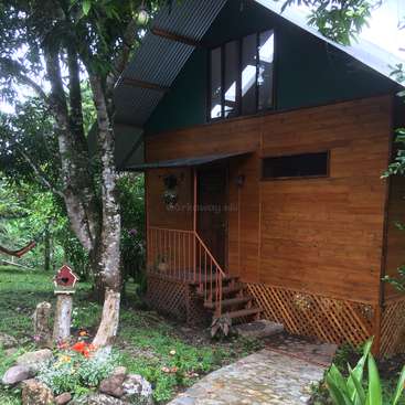The image depicts a charming wooden cabin with a green roof, nestled among lush trees and vibrant flowers, exuding a sense of serenity and natural beauty.