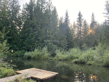 A small wooden dock sits on a tranquil pond surrounded by dense, tall evergreen trees and bushes. The sun gently sets behind the forest.