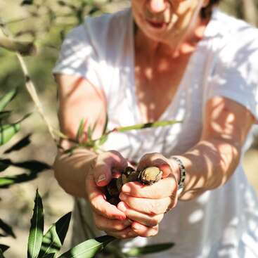 A woman in a white shirt stands outdoors, holding freshly picked almonds in her hands. Sunlight and shadows fall across her, surrounded by green leaves.