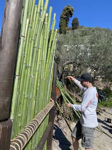 Un homme vêtu d'une chemise blanche à manches longues et d'une casquette attache des perches de bambou ensemble en plein air. La scène est ensoleillée, avec des arbres et de la verdure en arrière-plan.