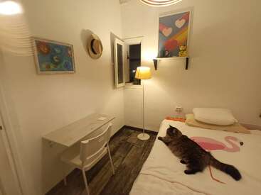 A cozy, small bedroom with a bed, cat, desk, chair, lamp, open window, wall art, shelf with decorations, and wooden flooring gives a warm vibe.