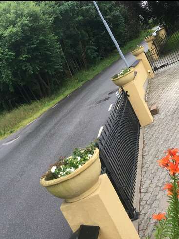 Une route tranquille bordée d'arbres verdoyants. Des piliers jaunes avec des jardinières et un portail en fer noir bordent une allée pavée. Des fleurs orange s'épanouissent à proximité.
