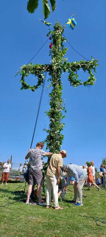 Sous un ciel bleu limpide, des personnes érigent et décorent un mât de mai traditionnel suédois avec de la verdure et des fleurs, célébrant ensemble une joyeuse fête d'été.