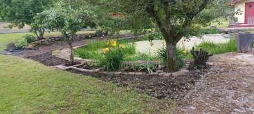 Un jardin paisible avec un petit étang, des fleurs jaunes, une pelouse verdoyante et des arbres adultes. Une bordure de pierre bien ordonnée sépare les zones plantées et les zones herbeuses.