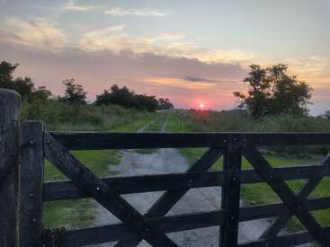 Ein rustikales Holztor steht vor einem Schotterweg, der in üppiges Grün führt. Der leuchtende Sonnenuntergang färbt den Himmel in rosa, orange und lila.