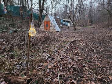 Eine leuchtende Glühbirne hängt an einem Stock in einer bewaldeten, mit Laub bedeckten Lichtung, während im Hintergrund ein kleiner Holzunterstand und ein Bus zwischen den Bäumen zu sehen sind.
