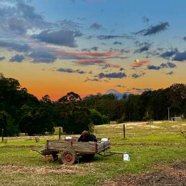A rustic farm scene at sunset shows a person working in an old wooden cart. Vibrant sky, scattered clouds, moon, and trees create a peaceful atmosphere.