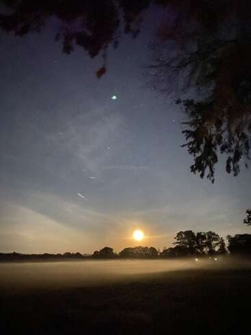 Uma lua cheia brilhante surge sobre um campo enevoado, lançando um brilho etéreo. Árvores em silhueta e um céu escuro e estrelado criam uma cena noturna tranquila.