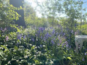 A luz do sol atravessa as árvores, iluminando um jardim exuberante repleto de flores silvestres brancas e roxas, ao lado de um banco de jardim ornamentado de metal branco.