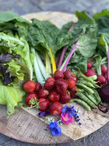 Uma tábua de madeira rústica exibe morangos frescos, folhas verdes, rabanetes, ervilhas e flores comestíveis coloridas, criando um arranjo vibrante, saudável e colorido de produtos da horta.