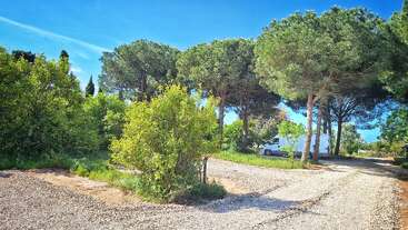 Ein ruhiger Campingplatz mit einer Schotterstraße, üppig grünen Bäumen und Sträuchern unter strahlend blauem Himmel. Im Hintergrund steht ein weißer Wohnwagen.