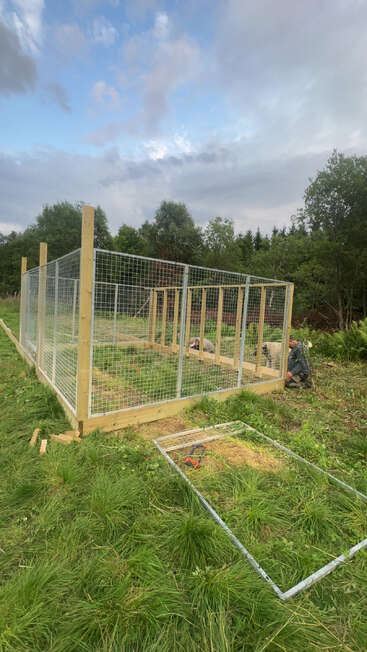Dos personas están construyendo un gran recinto exterior para animales con postes de madera y paneles de malla metálica. Las herramientas y una puerta metálica yacen en el suelo cubierto de hierba, cerca de allí.