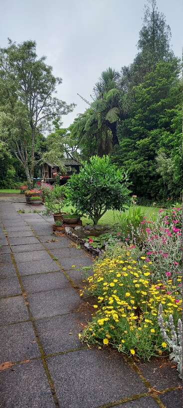 La imagen representa un entorno sereno al aire libre, con un exuberante jardín de vegetación vibrante y diversas plantas, que evoca una sensación de tranquilidad y belleza natural.