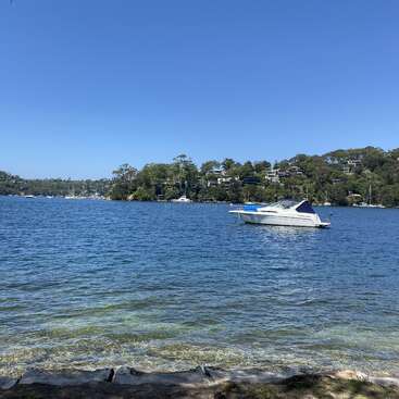 The image depicts a serene lake scene with a white boat floating on the water, surrounded by trees and houses in the background on a sunny day.