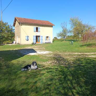 Ein schwarz-weißer Hund liegt auf grünem Gras im Sonnenlicht. Dahinter steht ein zweistöckiges Haus mit blauen Fensterläden, umgeben von Bäumen und offenem Himmel.