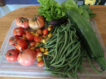 Un assortiment coloré de légumes fraîchement récoltés : des tomates, des haricots verts, des tomates cerises jaunes, de la laitue, une grosse courgette et un concombre, disposés sur le plan de travail de la cuisine.