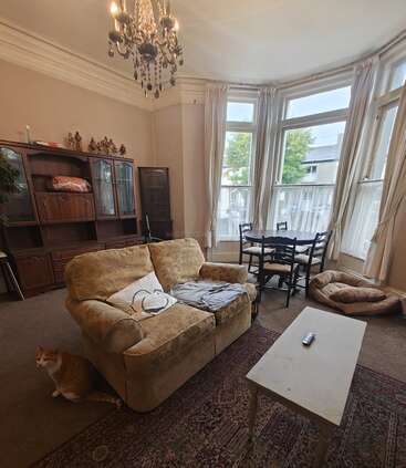 A cozy living room with large bay windows, beige sofa, ornate chandelier, wooden cabinet, round dining table, pet bed, cat sitting on the carpet, and decorative rug.