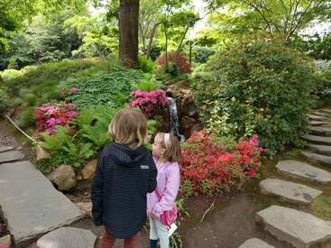 Two children stand near a small waterfall in a lush garden, surrounded by vibrant flowers, green bushes, tall trees, and a winding stone path.