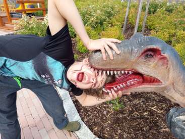 A playful child pretends to be bitten by a realistic dinosaur statue, posing dramatically with an excited expression in a park or outdoor area with greenery.