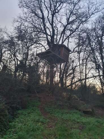 Hoch oben in den Ästen eines großen Baumes thront ein Baumhaus aus Holz, umgeben von einem kahlen Wald, und ein Pfad führt vom grünen Unterholz hinauf.