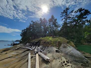 Des troncs d'arbres flottants reposent sur un rivage rocheux aux formations uniques. Des arbres à feuilles persistantes, un ciel bleu et des nuages entourent une île ensoleillée, créant un paysage naturel paisible.