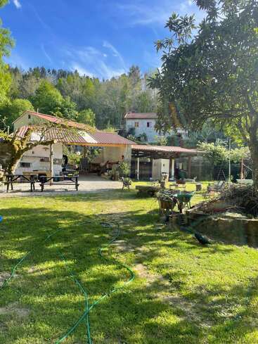 Une propriété rurale paisible avec deux bâtiments rustiques, du mobilier de jardin, de l'herbe verte, des outils éparpillés, des tuyaux d'arrosage et des arbres tout autour, sous un ciel bleu clair et lumineux.