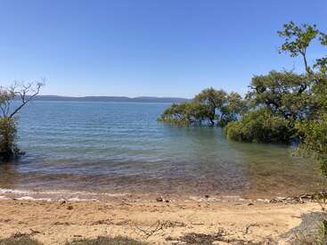 Un lac calme et clair avec des rives sablonneuses, quelques arbres poussant dans l'eau, un ciel bleu au-dessus de la tête, des collines lointaines à l'horizon, un paysage naturel paisible et serein.