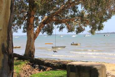 Un grand arbre avec une balançoire en corde surplombe une plage calme. Plusieurs bateaux flottent sur l'eau, tandis que de douces vagues déferlent sur le rivage sablonneux.
