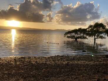 La lumière dorée du soleil se reflète sur l'eau calme au coucher du soleil. Des arbres se dressent dans la baie peu profonde ; une file de canards nage paisiblement. Des galets sur le rivage et des nuages spectaculaires complètent la scène.