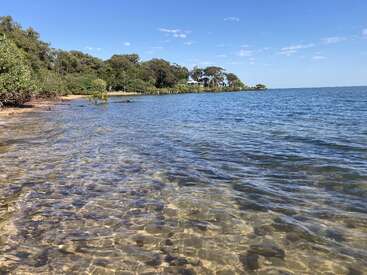 Des eaux claires et peu profondes s'échouent doucement sur un rivage sablonneux, bordé d'arbres denses et verts, sous un ciel d'un bleu éclatant parsemé de nuages blancs. Une scène paisible.