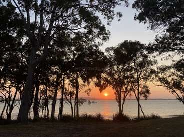 De grands arbres dessinent la silhouette d'un rivage calme au coucher du soleil, le soleil orange plongeant dans l'eau et y jetant de chauds reflets. Un voilier flotte paisiblement à proximité.