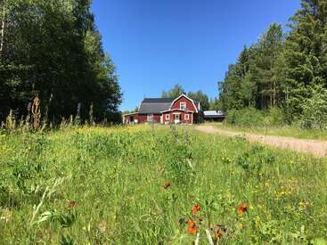 Ein charmantes rotes Bauernhaus steht am Ende einer unbefestigten Straße, umgeben von hohem Gras, Wildblumen und üppig grünen Bäumen unter einem klaren blauen Himmel.