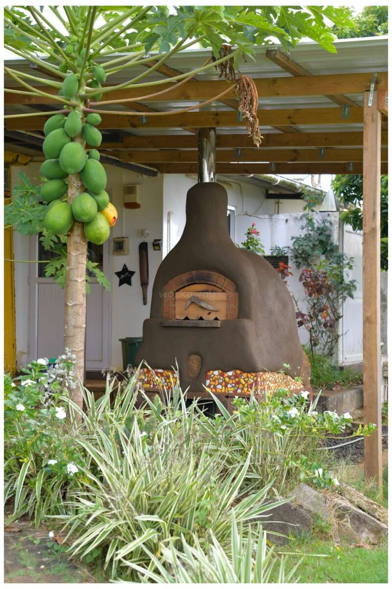 Un four rustique en plein air avec une base en mosaïque est installé sous une pergola en bois à côté d'un papayer, entouré d'une végétation luxuriante et de plantes à fleurs dans un jardin.