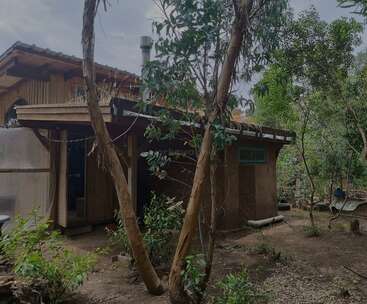This image shows a rustic wooden house surrounded by trees and plants. The setting appears natural and peaceful, with earthy tones and a simple, organic structure.