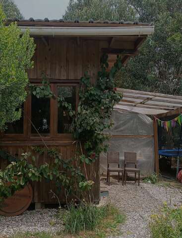 A cozy wooden cabin with green climbing plants, two wicker chairs, colorful bunting, a gravel path, and surrounding greenery creates a rustic, inviting outdoor atmosphere.
