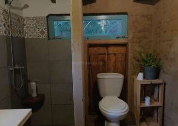 This rustic bathroom features a toilet, tiled shower, wooden accents, a small window, patterned tiles, a plant, toilet paper, and a wooden shelf for storage.