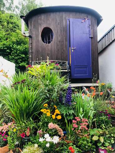 Eine charmante Holzhütte mit einer leuchtend blauen Tür ist von üppigem Grün und bunt blühenden Blumen umgeben und schafft eine gemütliche, einladende Gartenatmosphäre.
