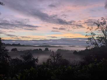 Eine ruhige Landschaft im Morgengrauen, Nebel zieht über die bewaldeten Hügel. Sanfte Pastellfarben malen den Himmel und mischen sich zu Violett-, Rosa- und Gelbtönen über den friedlichen Bäumen.