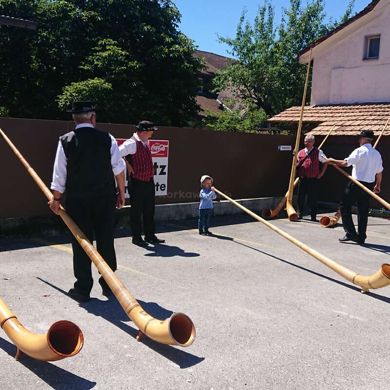 Das Bild zeigt eine Gruppe von Männern und ein Kind, die auf einem Parkplatz stehen und jeweils ein Alphorn in der Hand halten, während im Hintergrund Bäume und Gebäude zu sehen sind.
