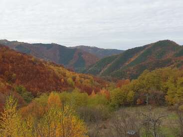 This image shows rolling hills covered in dense autumn forest, with vibrant shades of red, orange, and yellow under a cloudy, overcast sky. Peaceful scene.
